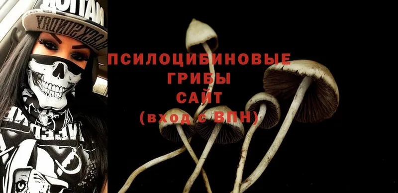 купить закладку  Завитинск  Псилоцибиновые грибы Psilocybine cubensis 